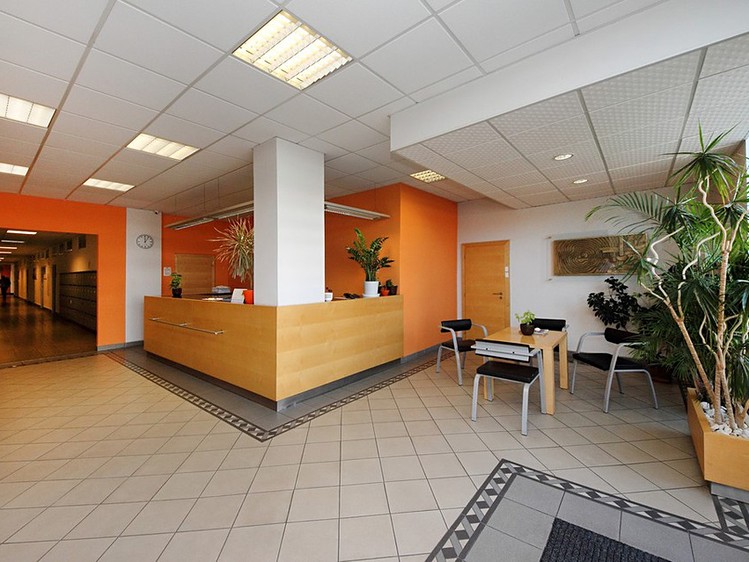Pronájem kanceláře 148 m² - foto 1