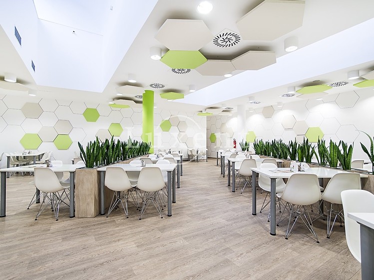 Pronájem kanceláře 570 m² - foto 4