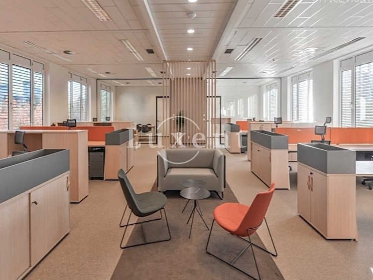 Pronájem kanceláře 261 m² - foto 3