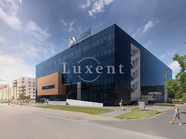 Pronájem kanceláře 500 m² - foto 1