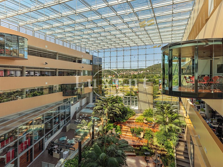 Pronájem kanceláře 500 m² - foto 2
