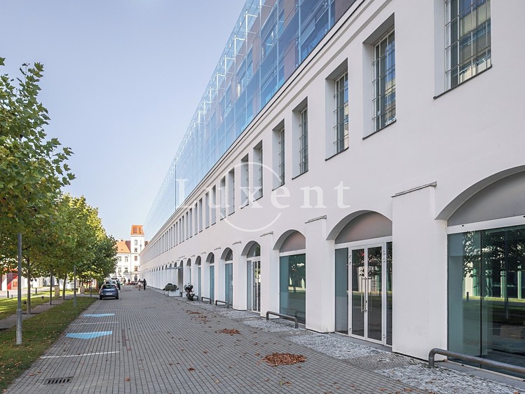 Pronájem kanceláře 870 m² - foto 3