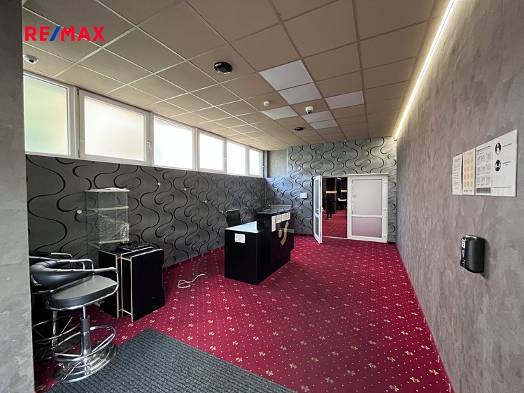 Pronájem obchodního prostoru 487 m² - foto 4
