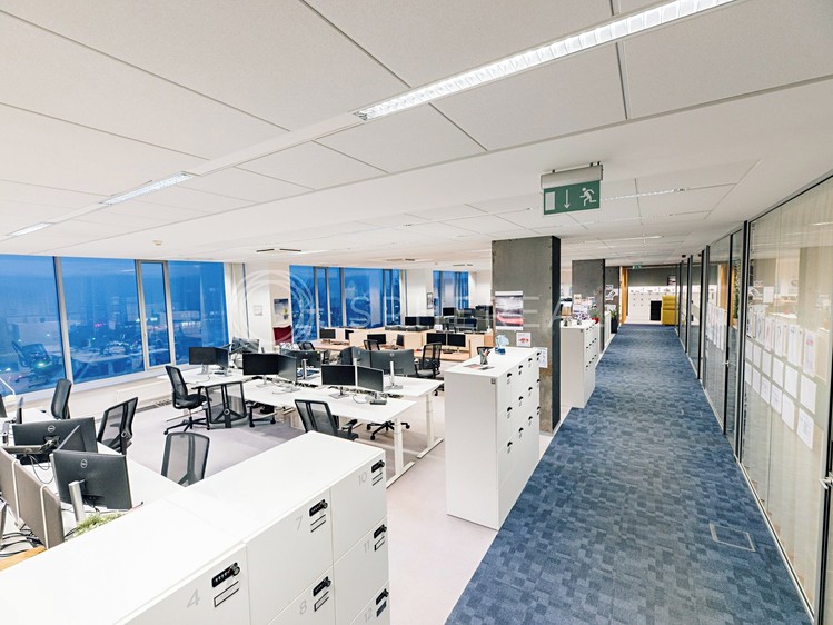 Pronájem kanceláře 658 m² - foto 4