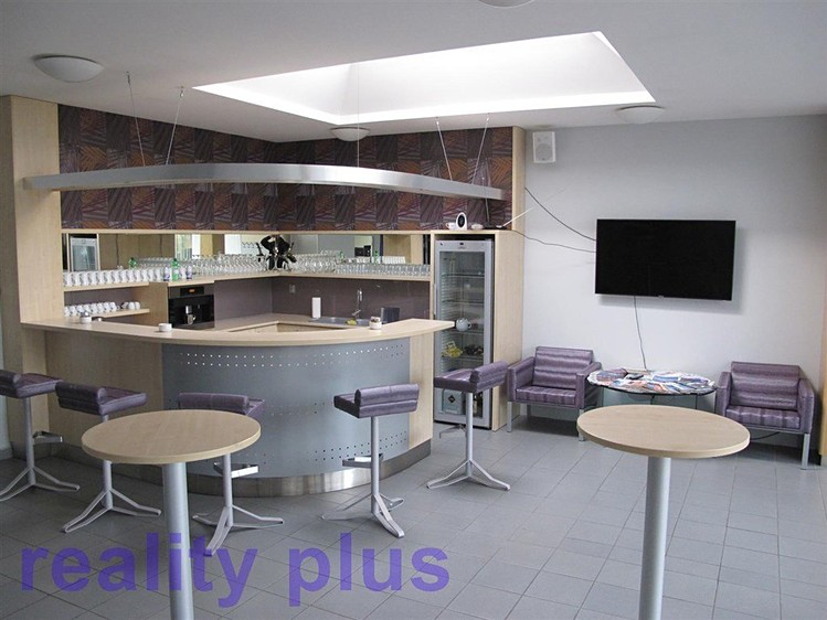 Pronájem obchodního prostoru 459 m² - foto 6