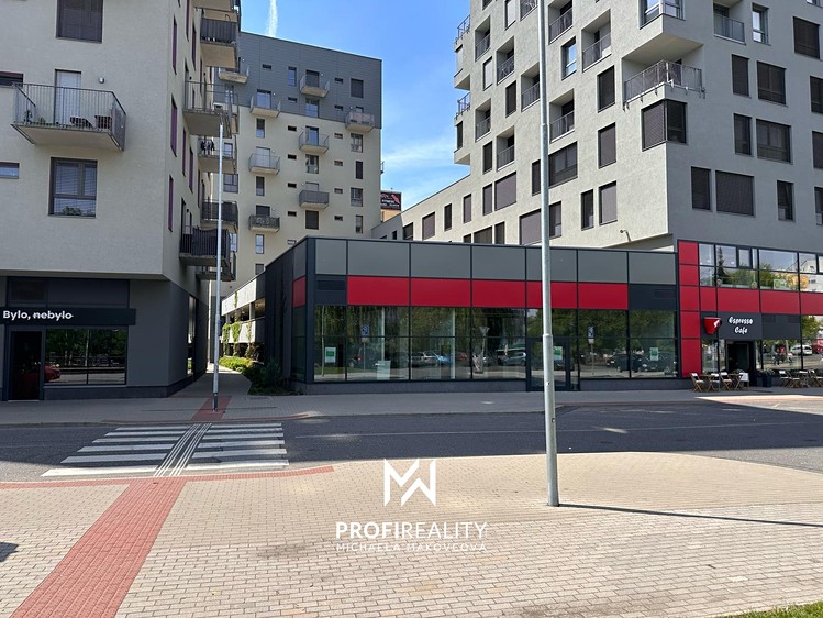 Pronájem obchodního prostoru 168 m² - foto 3