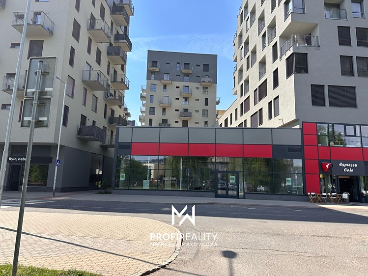 Pronájem obchodního prostoru 168 m² - foto 2