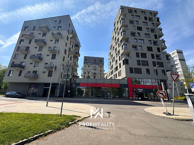 Pronájem obchodního prostoru 168 m² - foto 1