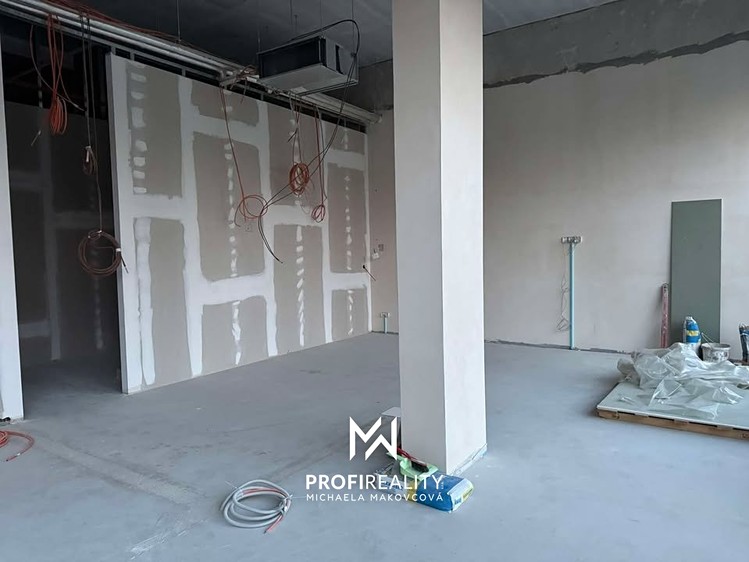 Pronájem obchodního prostoru 168 m² - foto 5