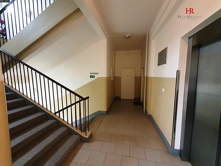 Pronájem kanceláře 46 m² - foto 6