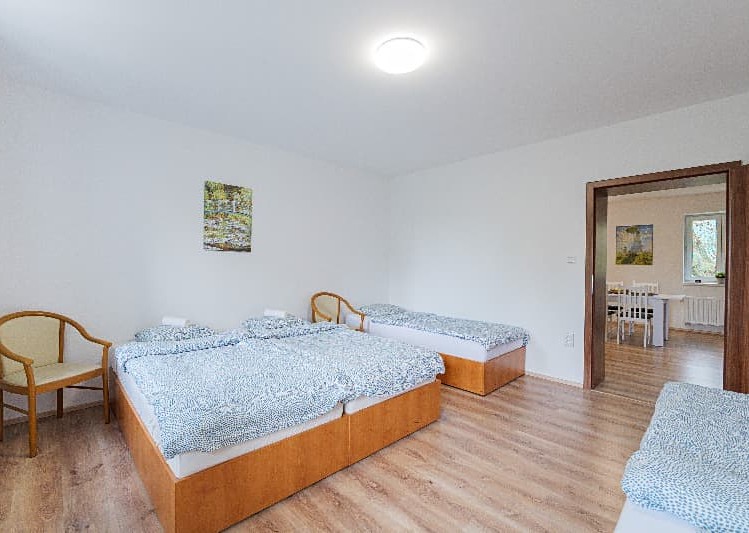 Pronájem apartmánů 300 m² - foto 3