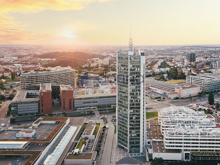 Pronájem kanceláře 290 m² - foto 7