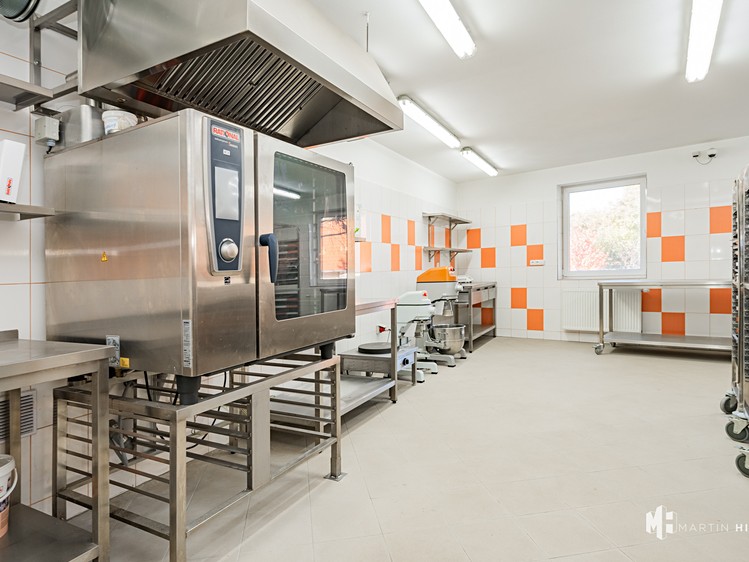 Pronájem výrobní haly, prostoru 50 m² - foto 1