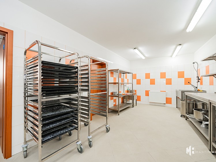 Pronájem výrobní haly, prostoru 50 m² - foto 2