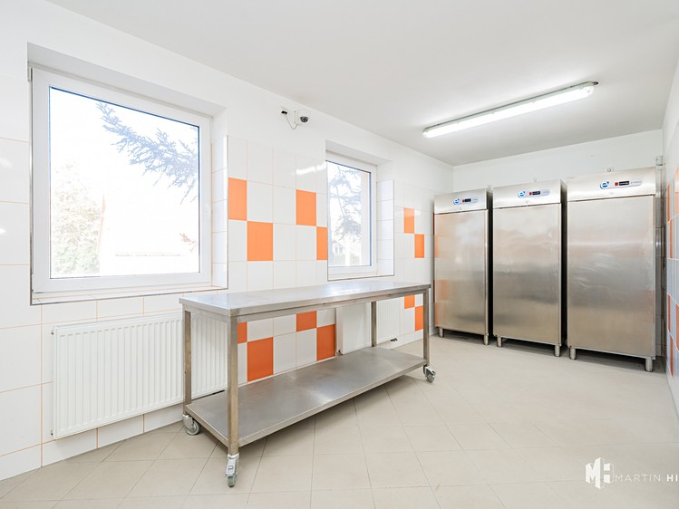 Pronájem výrobní haly, prostoru 50 m² - foto 6