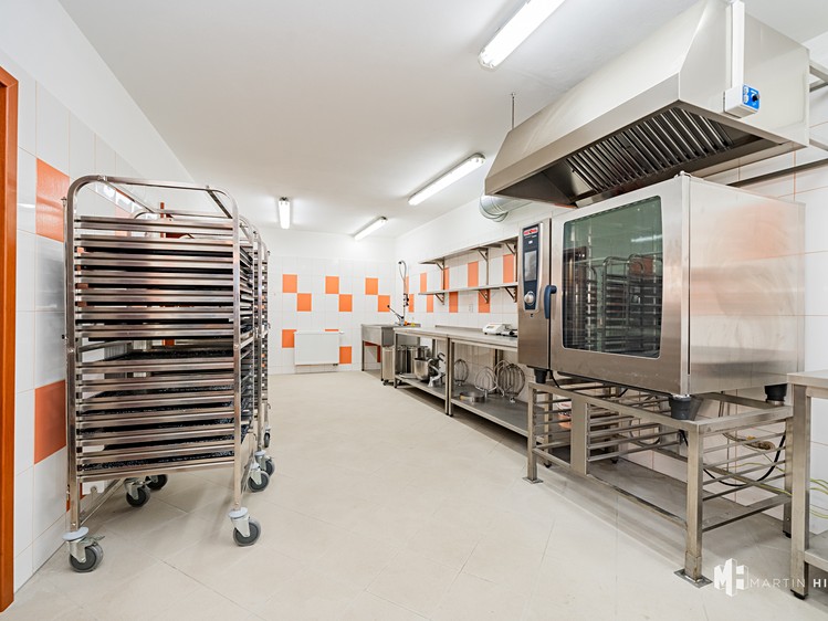 Pronájem výrobní haly, prostoru 50 m² - foto 8