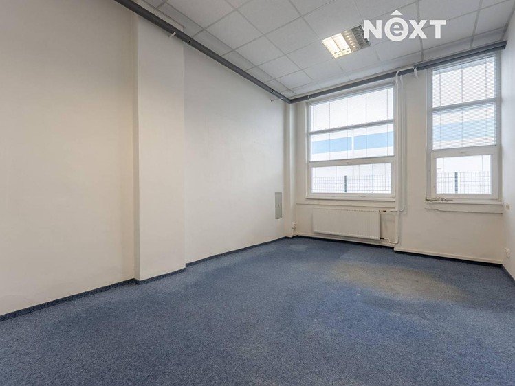 Pronájem kanceláře 175 m² - foto 6