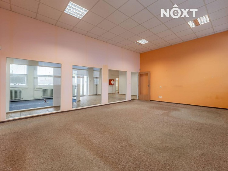 Pronájem kanceláře 175 m² - foto 8