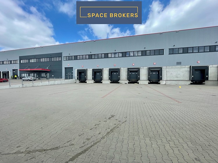 Pronájem skladového prostoru 2 779 m² - foto 6