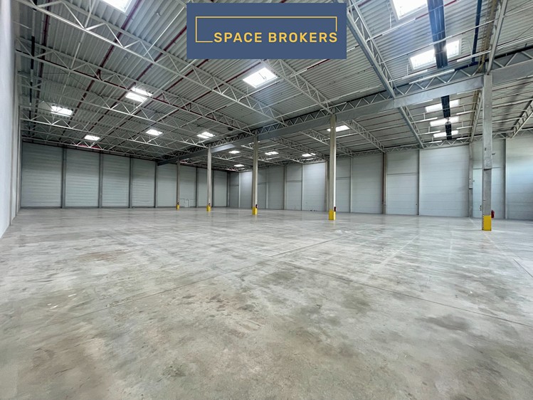 Pronájem skladového prostoru 2 779 m² - foto 5