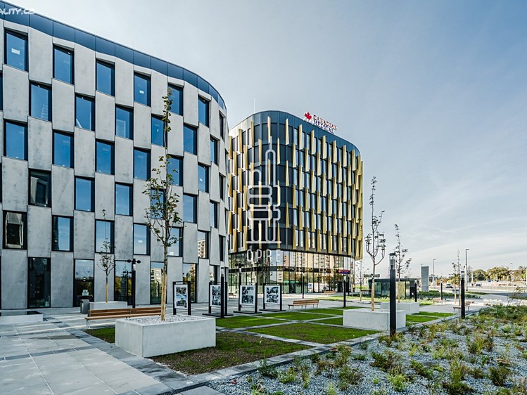Pronájem kanceláře 447 m² - foto 7