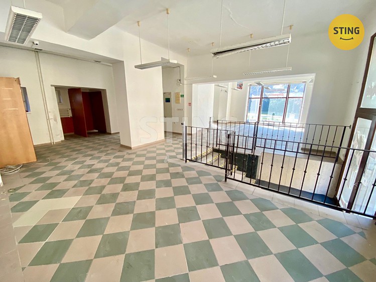 Pronájem obchodního prostoru 270 m² - foto 2