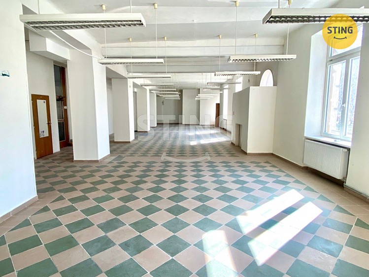Pronájem obchodního prostoru 270 m² - foto 5