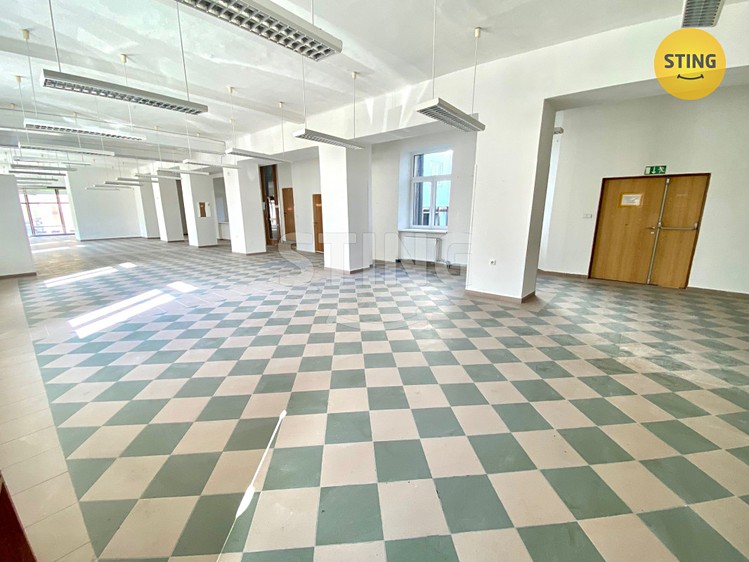 Pronájem obchodního prostoru 270 m² - foto 7