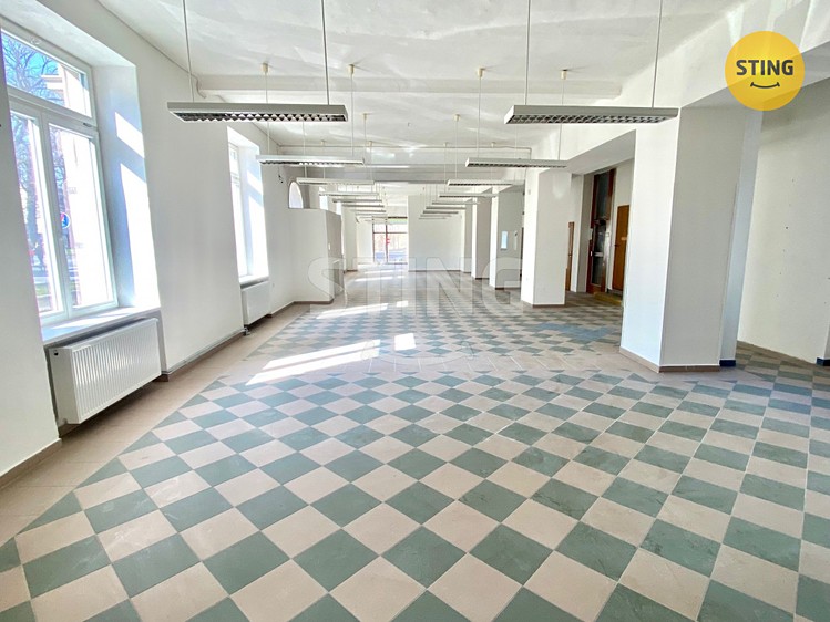 Pronájem obchodního prostoru 270 m² - foto 8