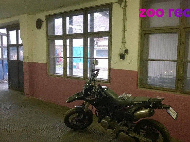 Pronájem obchodního prostoru 391 m² - foto 6