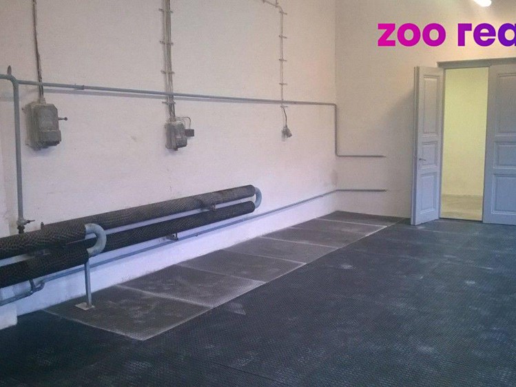 Pronájem obchodního prostoru 391 m² - foto 8