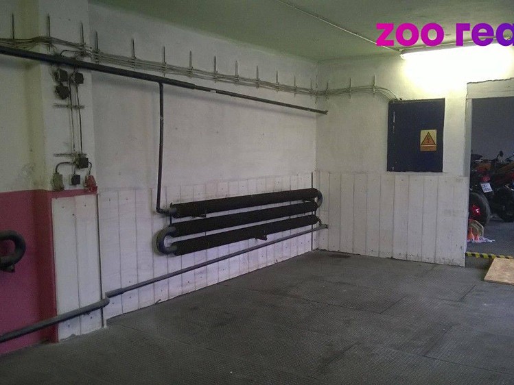 Pronájem obchodního prostoru 391 m² - foto 5