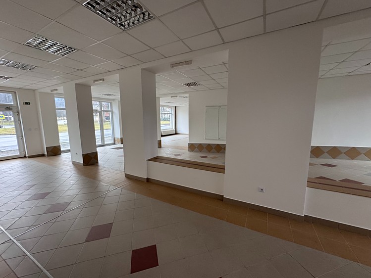 Pronájem obchodního prostoru 232 m² - foto 5