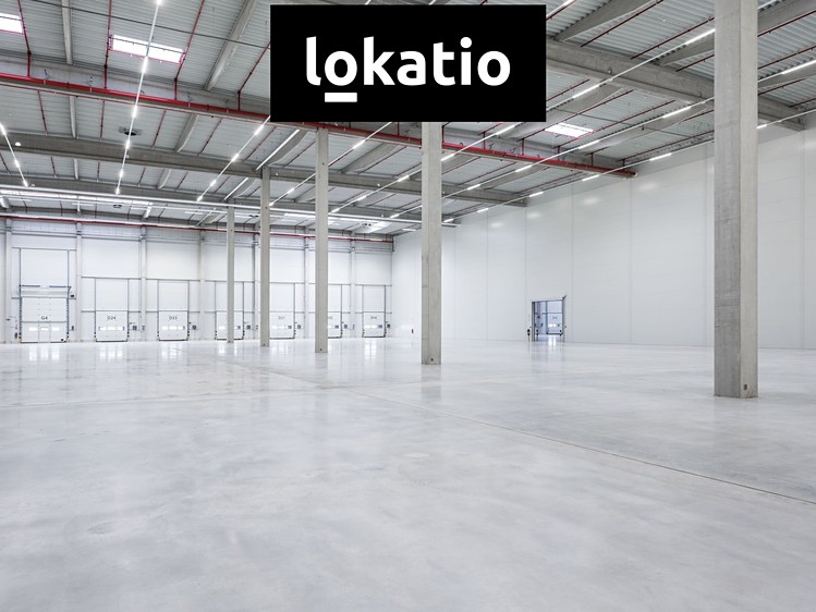 Pronájem skladového prostoru 10 295 m² - foto 6