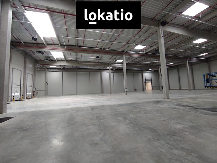 Pronájem skladového prostoru 1 155 m² - foto 4