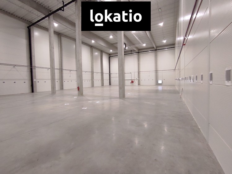 Pronájem skladového prostoru 944 m² - foto 1