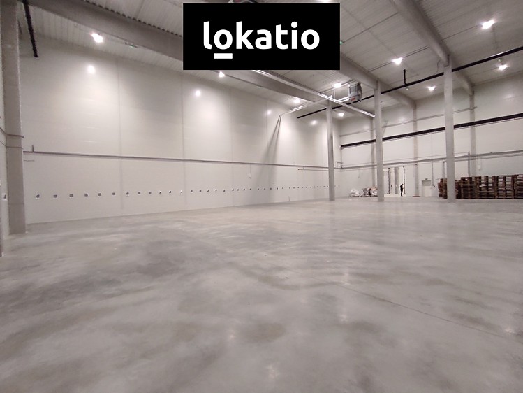 Pronájem skladového prostoru 944 m² - foto 3