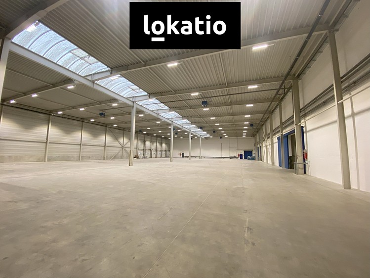 Pronájem skladového prostoru 2 041 m² - foto 3