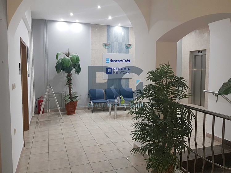 Pronájem kanceláře 38 m² - foto 3