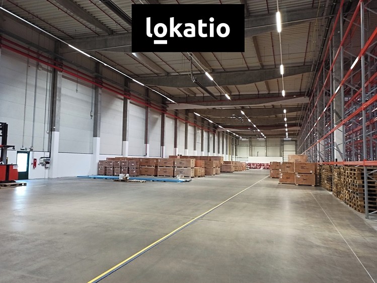 Pronájem skladového prostoru 6 776 m² - foto 3