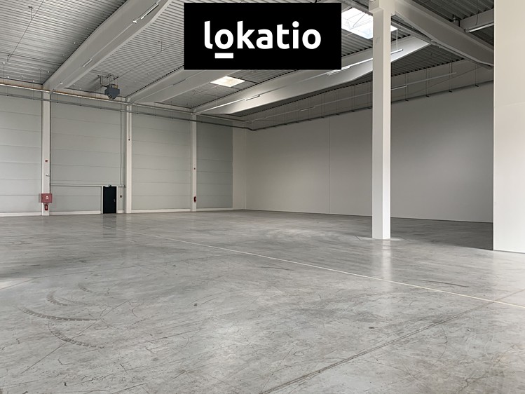 Pronájem skladového prostoru 3 294 m² - foto 6