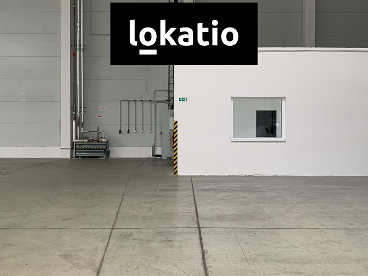 Pronájem skladového prostoru 5 442 m² - foto 5