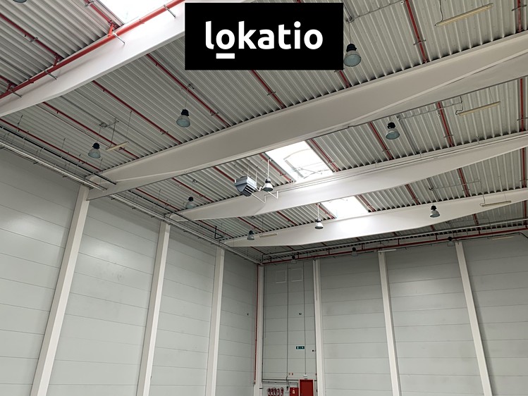 Pronájem skladového prostoru 5 442 m² - foto 7