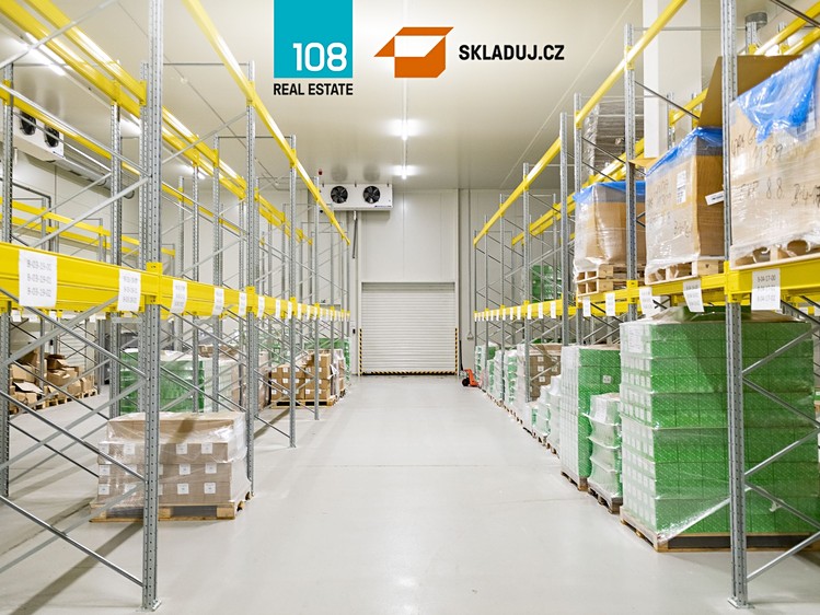 Pronájem skladového prostoru 10 000 m² - foto 2