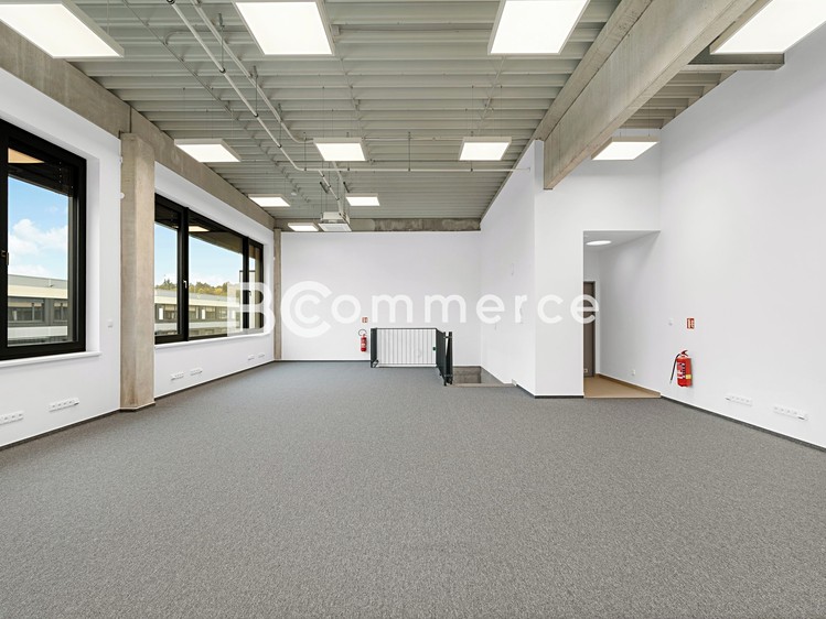 Pronájem skladového prostoru 446 m² - foto 6