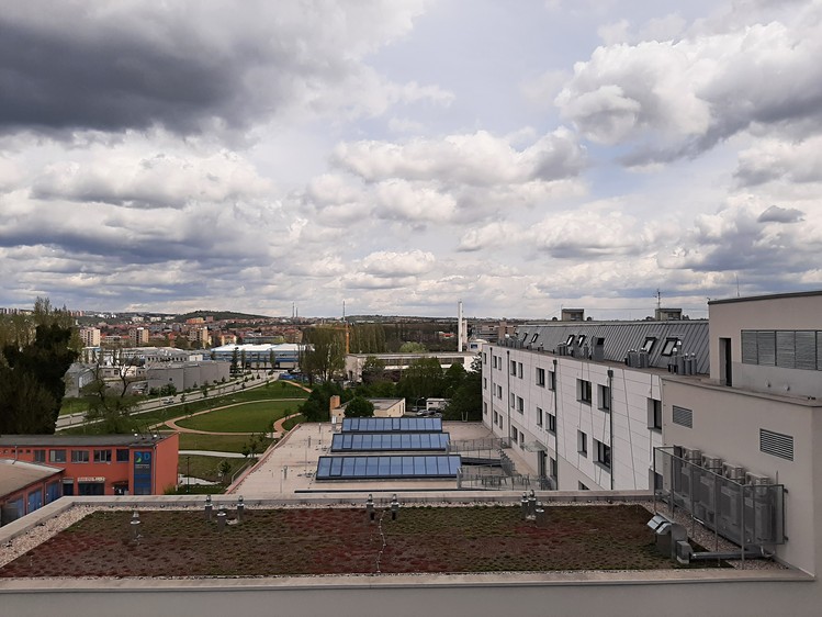 Pronájem kanceláře 20 m² - foto 6