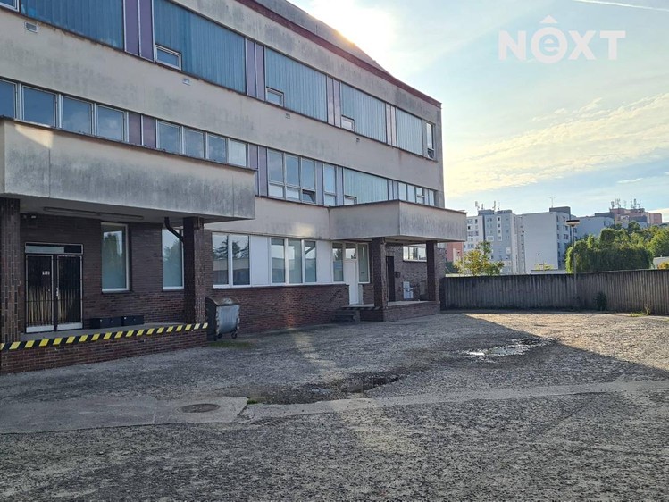 Pronájem obchodního prostoru 285 m² - foto 3