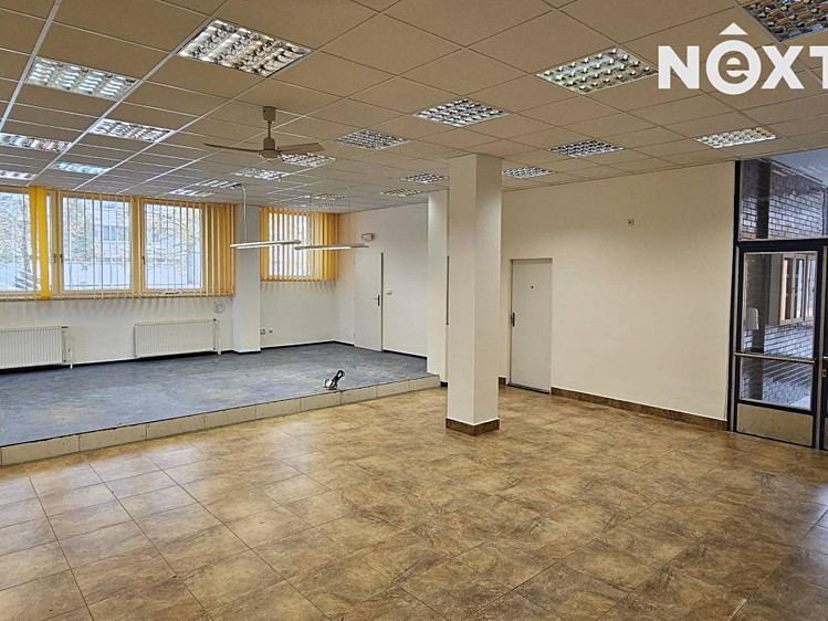 Pronájem obchodního prostoru 285 m² - foto 5