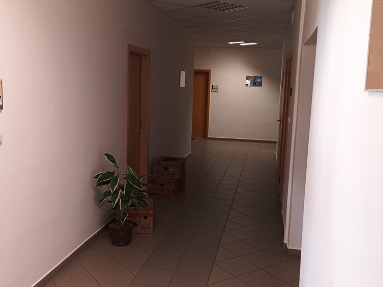 Pronájem kanceláře 490 m² - foto 6
