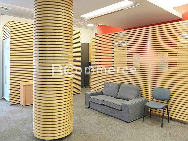 Pronájem kanceláře 247 m² - foto 1